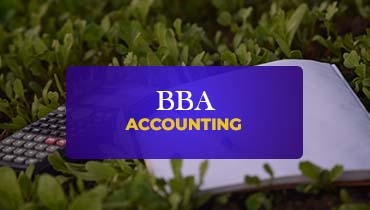 Bachelor of Business Administration in Accounting