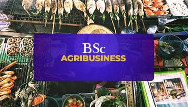 BSc Agribusiness 