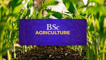 Bachelor of Science in Agriculture