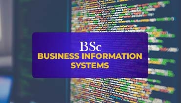 B.Sc Business Information Systems
