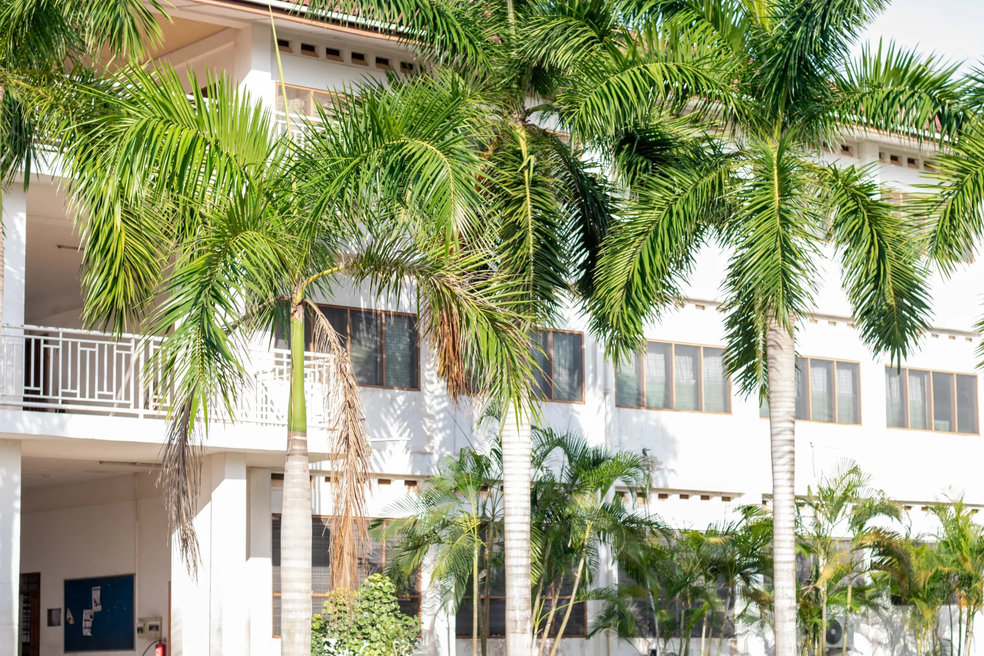 VVU Campus