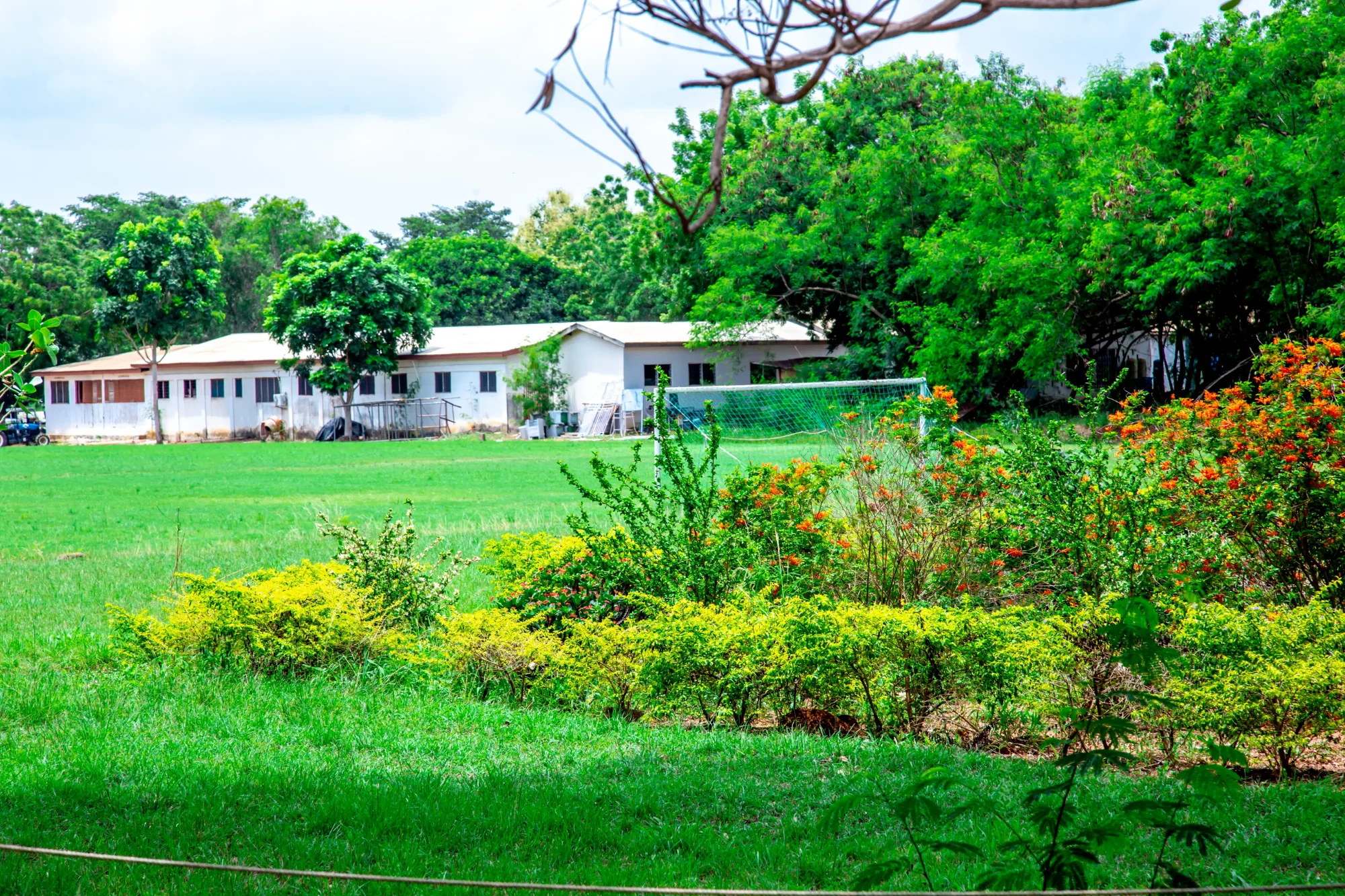Lush Green VVU Campus
