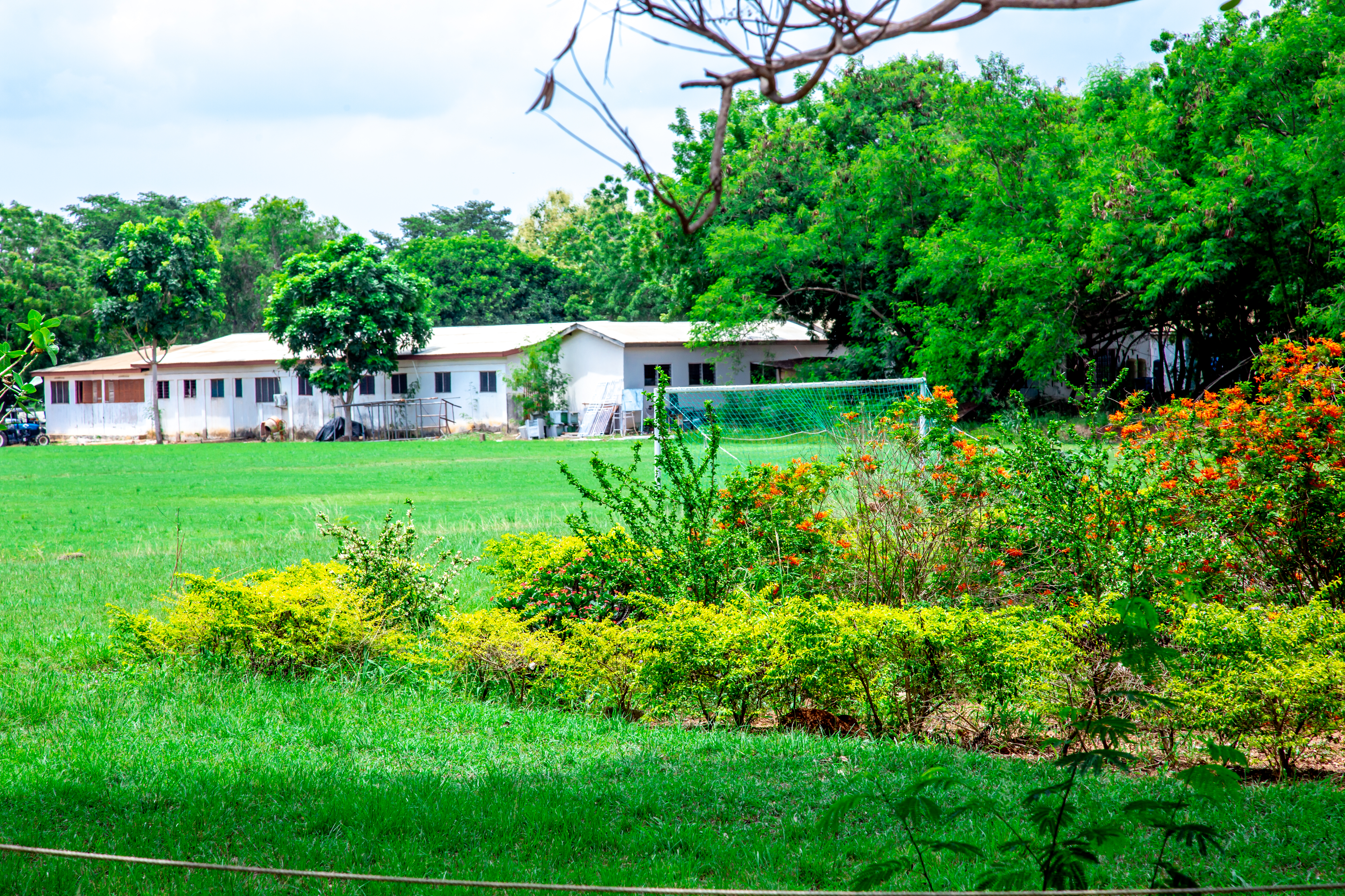 A Green Campus